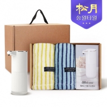 송월타올 디스펜서 기프트세트 11 (호텔컬렉션 스트라이프44 타올 220g * 2P + 웰세스 디스펜서 360ml 1P)