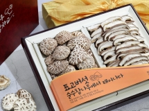 K091 백화고2종 세트