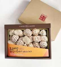 K141 천자고 백화고 세트