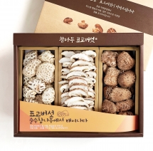 K176 다화고3종 세트