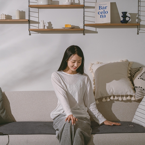 렉스웜 탄소매트(12V)