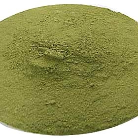 제주 알로에분말 100% 아보레센스 1kg