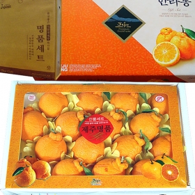 제주과일 선물용 한라봉 대과 5kg(15~17과)