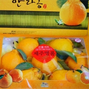 제주과일 선물용 한라봉 대과 3kg(9~10과)