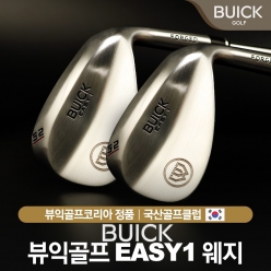 최신형 뷰익(BUICK) EASY-1 웨지