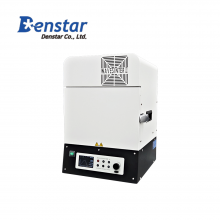 WAVESINTERⅡ DS-1300