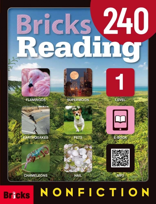 Bricks Reading 240 Nonfiction 1