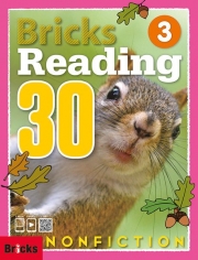 Bricks Reading Nonfiction 30 3