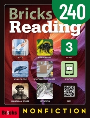 Bricks Reading Nonfiction 240 3