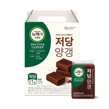뉴케어 당플랜 저당양갱 (40gx22개입), 1박스