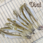 [오발] 신선노가리 두절조미대구1kg 소(S)