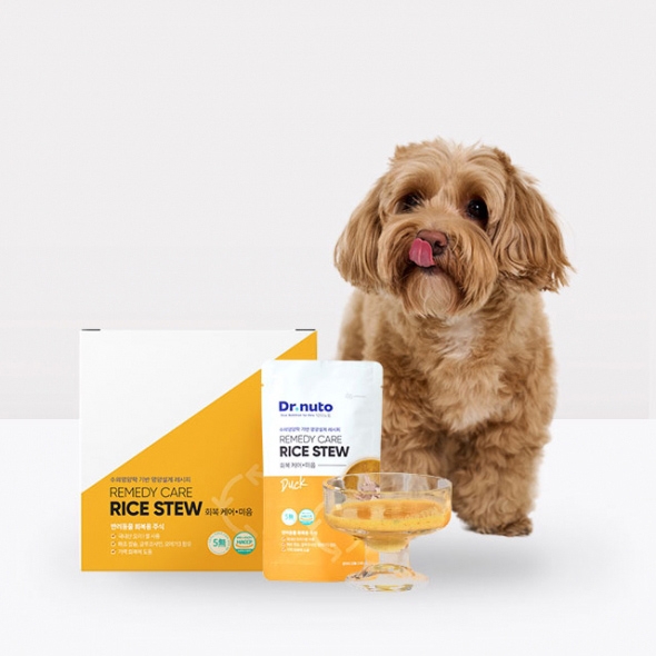 [7일특가]닥터뉴토 리메디케어 미음 오리 강아지 120g [10개세트]