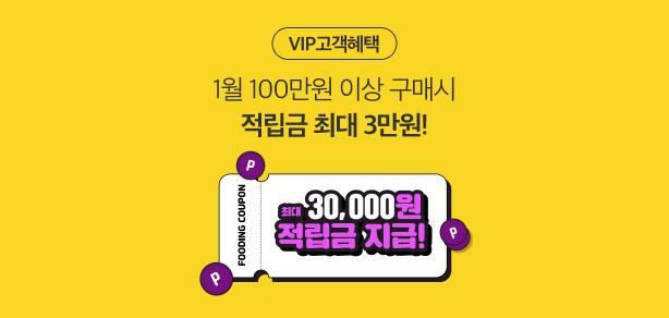 vip 고객 혜택 프로모션