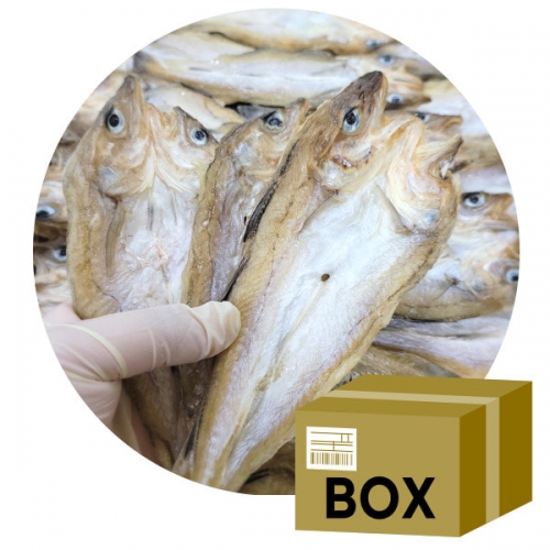 [박스무배]반건조 편노가리 10KG 소