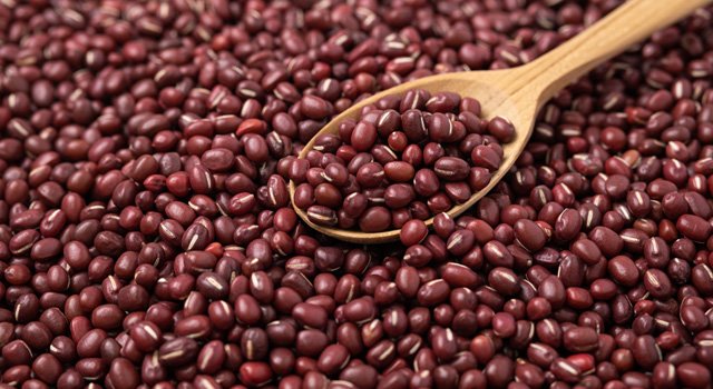 [논앤밭위드] 2022년 햇곡 적두(수입산) 1kg+1kg*면세