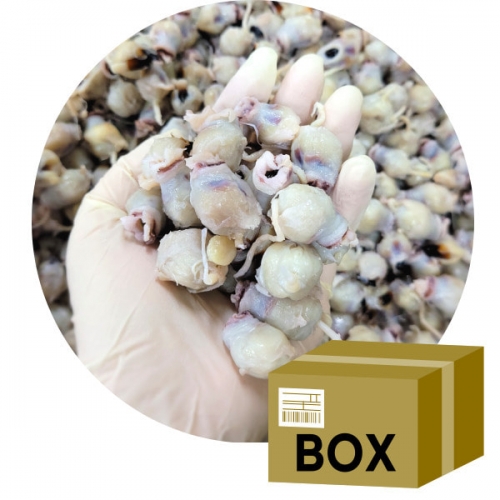 [박스무배] 원양산 반건조 조미오징어입 10KG