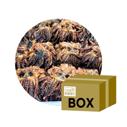 [인생건어물] 박스무배 국내가공 구운 쇼츠다리 10kg