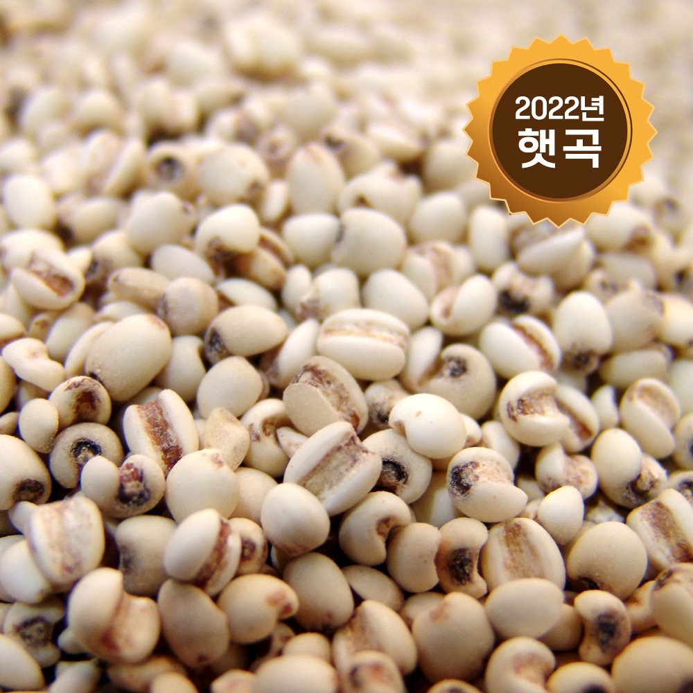 [논앤밭위드] 2022년 햇곡 율무(국산) 500g*면세