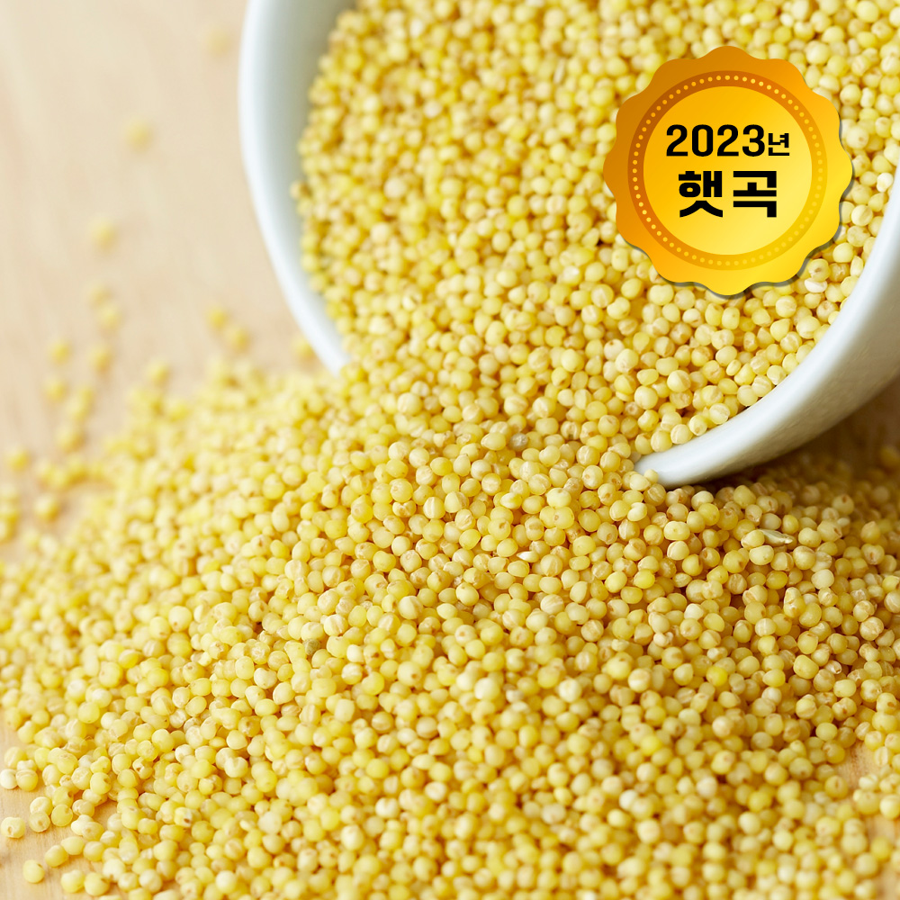 2023년 햇곡 기장(국산) 500g*면세