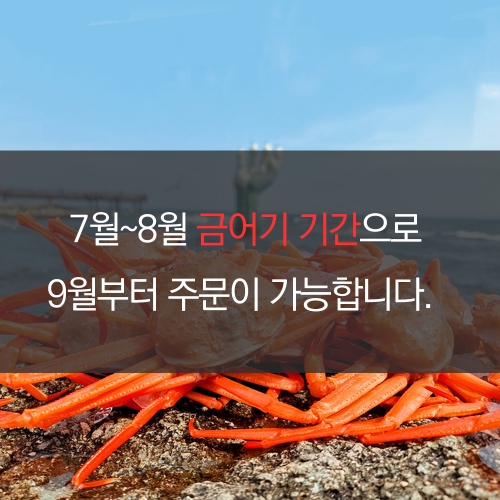[인생건어물]국산 자숙 연지 홍게 소 1BOX 산지직송 수율보장 수율 80%~90% *면세