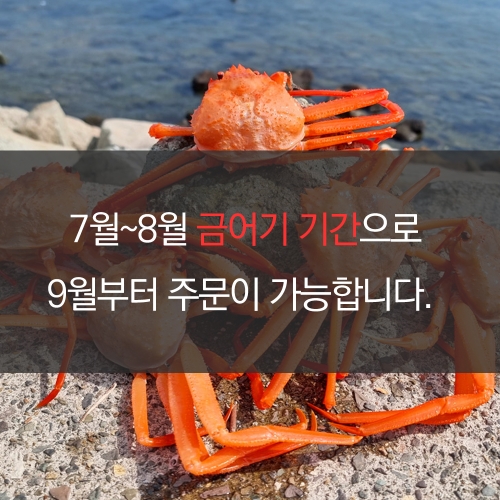 [인생건어물]국산 자숙 연지 홍게 중 5미 산지직송 수율보장 수율 80%~90% *면세