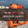 [인생건어물]국산 자숙 연지 홍게 중 5미 산지직송 수율보장 수율 80%~90% *면세