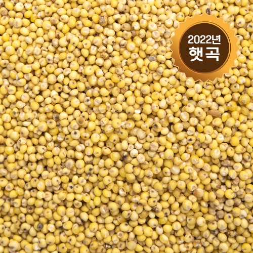 [논앤밭위드] 2022년 햇곡 기장(수입산) 500g*면세