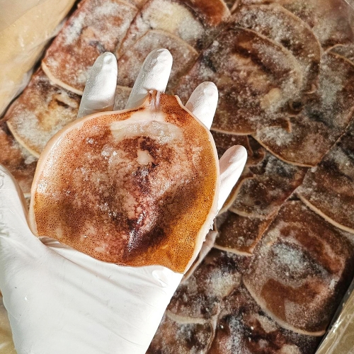 [인생건어물] 반건조 오징어 조미 다루마 1KG S사이즈