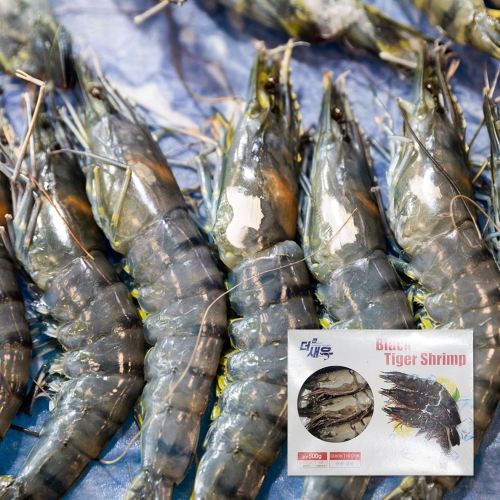 블랙타이거 새우 500g 8미 *면세