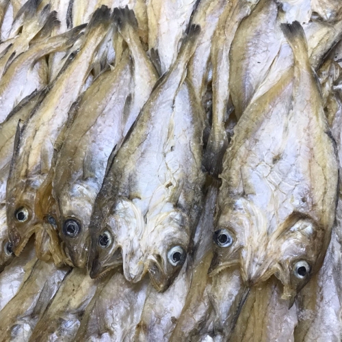 [인생건어물] 가성비 편노가리 1kg