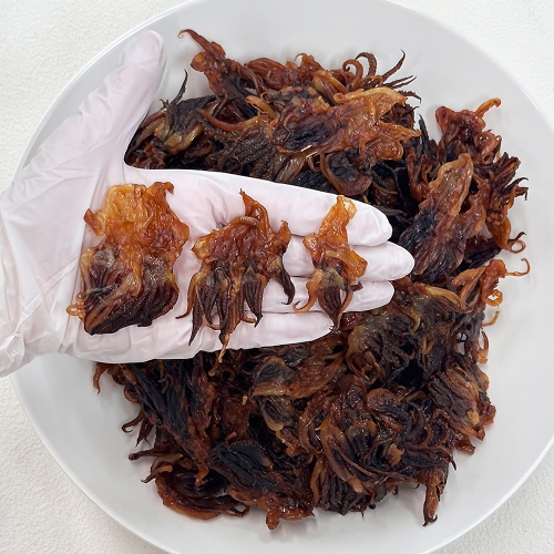 [인생건어물] 참맛다리오징어 1kg