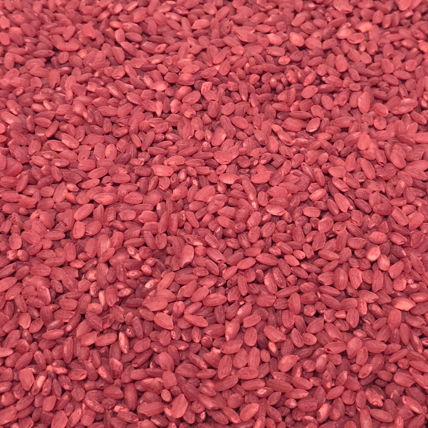 건강맞춤 국산 홍국쌀 1kg * 면세
