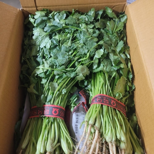 [굿앤쉐프] 고수 300g*면세