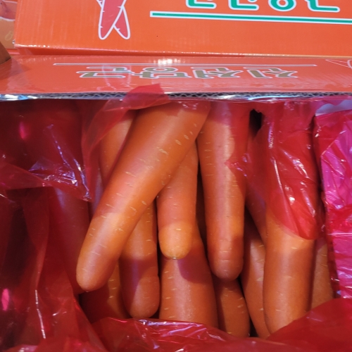 [굿앤쉐프] 세척당근 1kg*면세