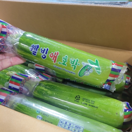 [굿앤쉐프] 인큐애호박 5개*면세