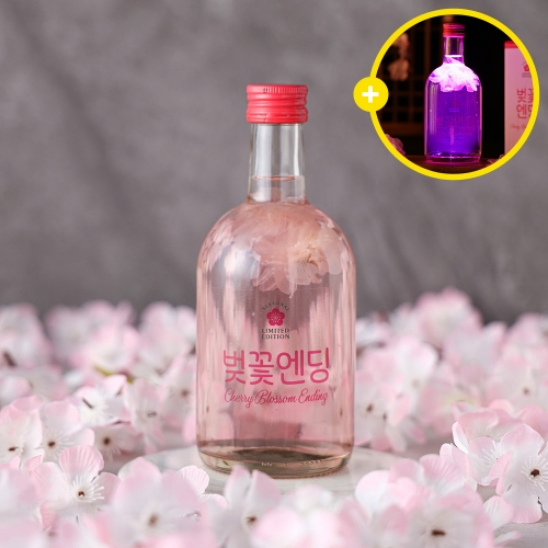 술마켓 벚꽃주 제주왕지케 벚꽃엔딩 15도 375ml LED 코스터 포함