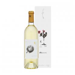 술마켓 264청포도와인 꽃 11.5도 750ml 청수 스위트와인