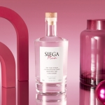 술마켓 제이1 시에가 자두향 22도 500ml