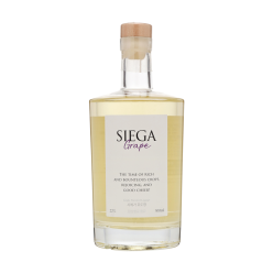제이1 시에가 포도향 22도 500ml