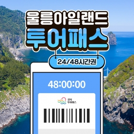 울릉아일랜드 투어패스