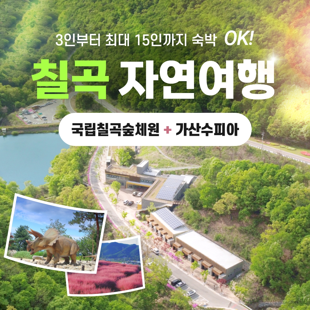 경북 웰니스여행 칠곡 숲체원+가산수피아 알파카랜드