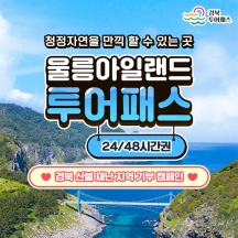 [경북산불재난지역기부캠페인] 투어패스 울릉아일랜드