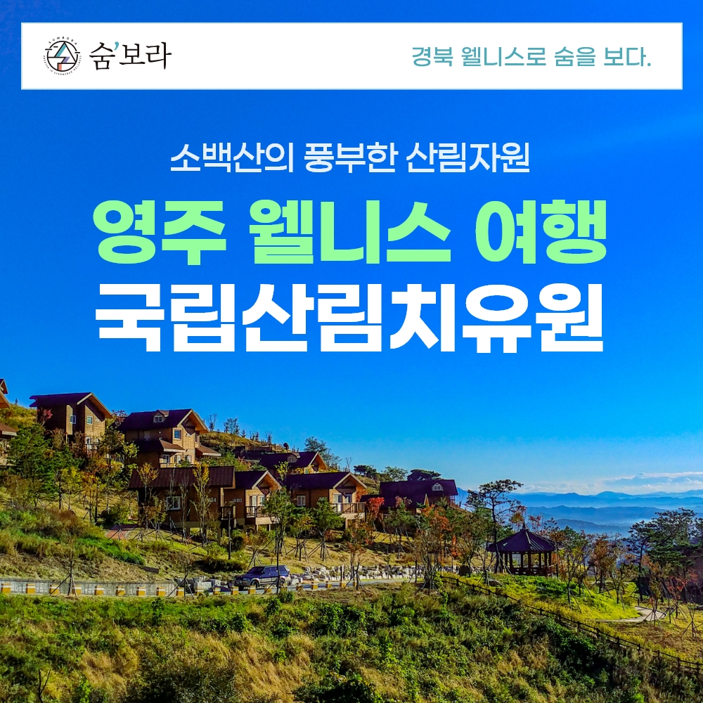 경북웰니스여행 영주 국립산림치유원