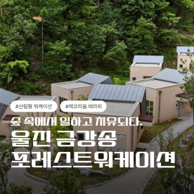 [워케이션] 울진 금강송 포레스트 워케이션