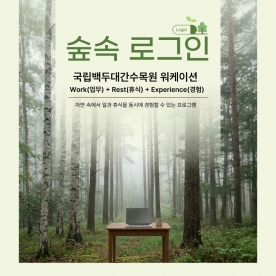 [워케이션] 숲속 로그인 봉화워케이션