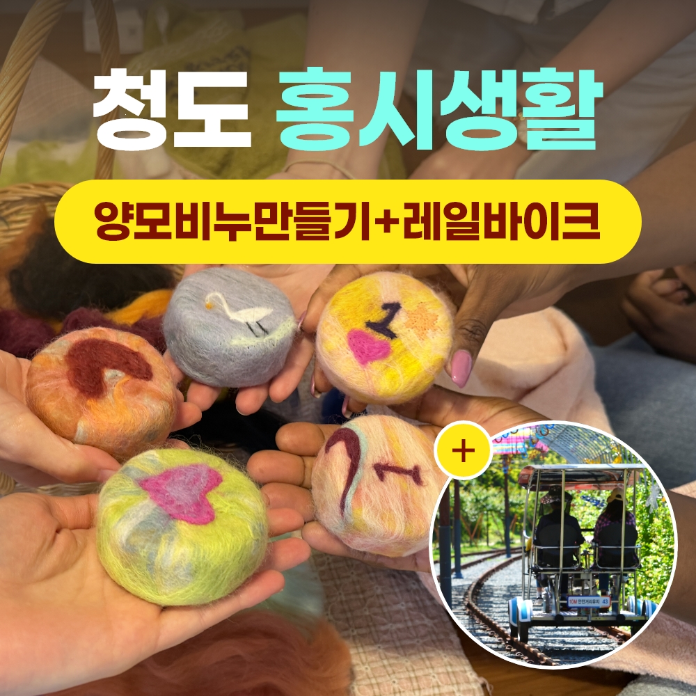 경북e누리 청도 홍시생활+레일바이크