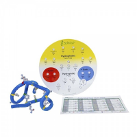 단백질의 기본구조