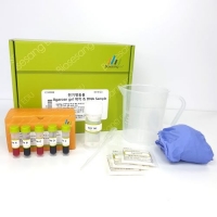 전기영동용 Agarose gel 만들기 & DNA sample(5인용)(개인판매금지)