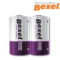 DM 건전지(벡셀)