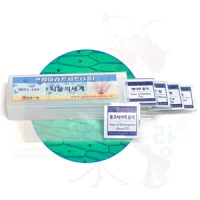 식물의세계 프레파라트(5종세트)